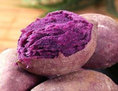 紫薯不发芽怎么保存？你每天吃多少紫薯