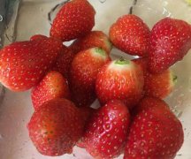 草莓上面的白毛能吃吗(草莓过敏还能吃草