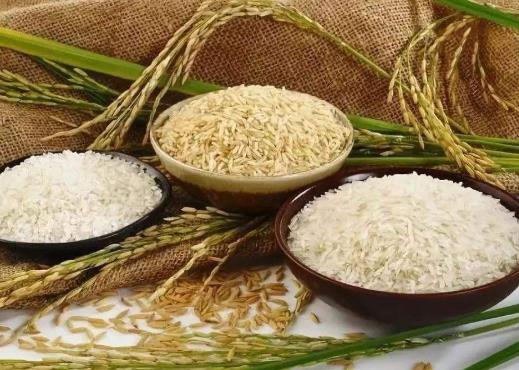 大米有味道是怎么回事？真空包装大米保质期一般是多久