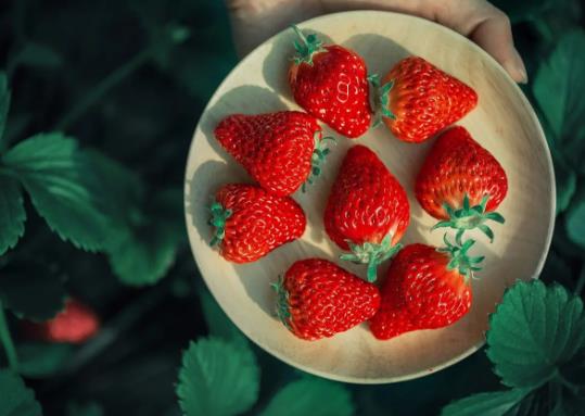怎么判断草莓坏了没？草莓怎么判断是不是催熟的