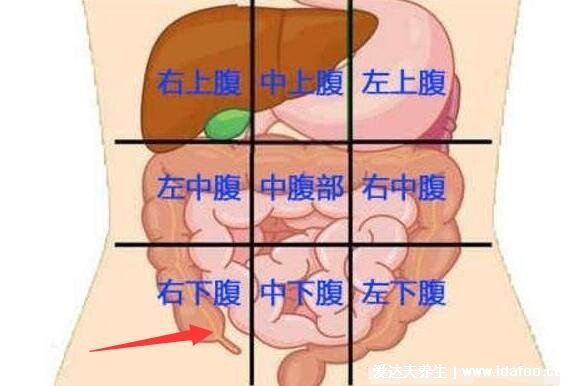 阑尾炎在左边还是右边疼痛位置图片，右下腹肚脐周围剧痛