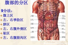 腹部九点法及师名，与腹痛对应的图器图。