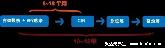 感染HPV病毒 就会恶变成宫颈癌吗？造成宫颈癌的真正真相究竟是什么？