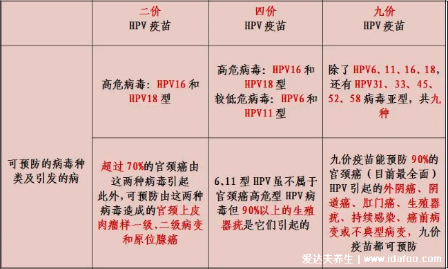 感染HPV病毒 就会恶变成宫颈癌吗？造成宫颈癌的真正真相究竟是什么？