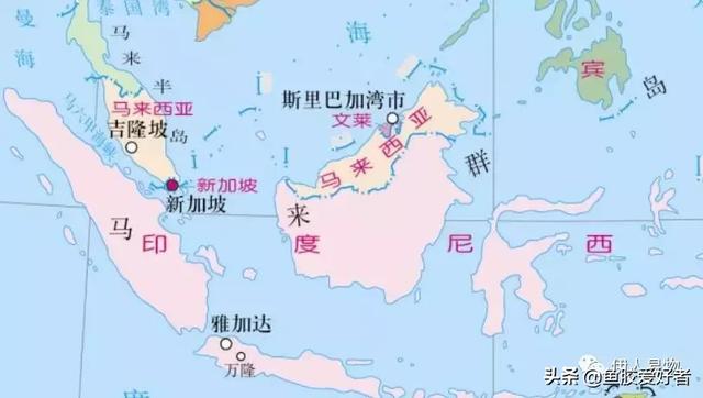 「鱼胶产地」世界各地鱼胶产地概括