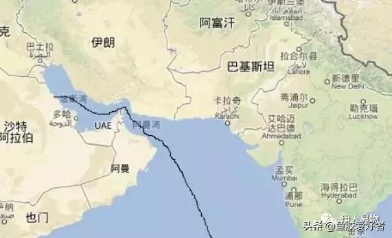 「鱼胶产地」世界各地鱼胶产地概括