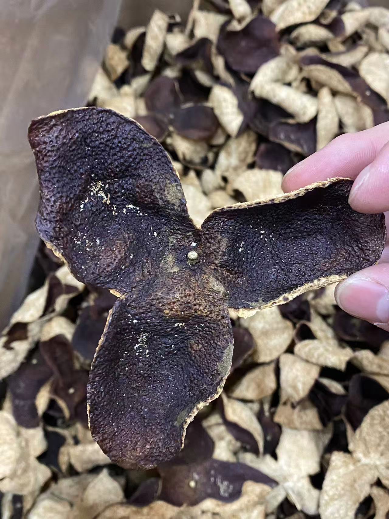 大量 新会老陈皮 5年 产品图