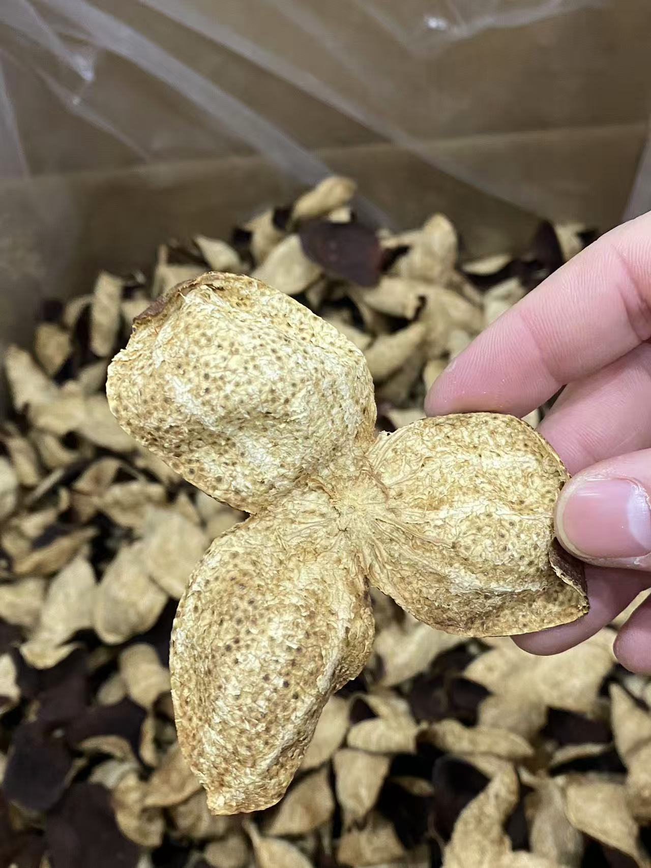 大量 新会老陈皮 5年 产品图