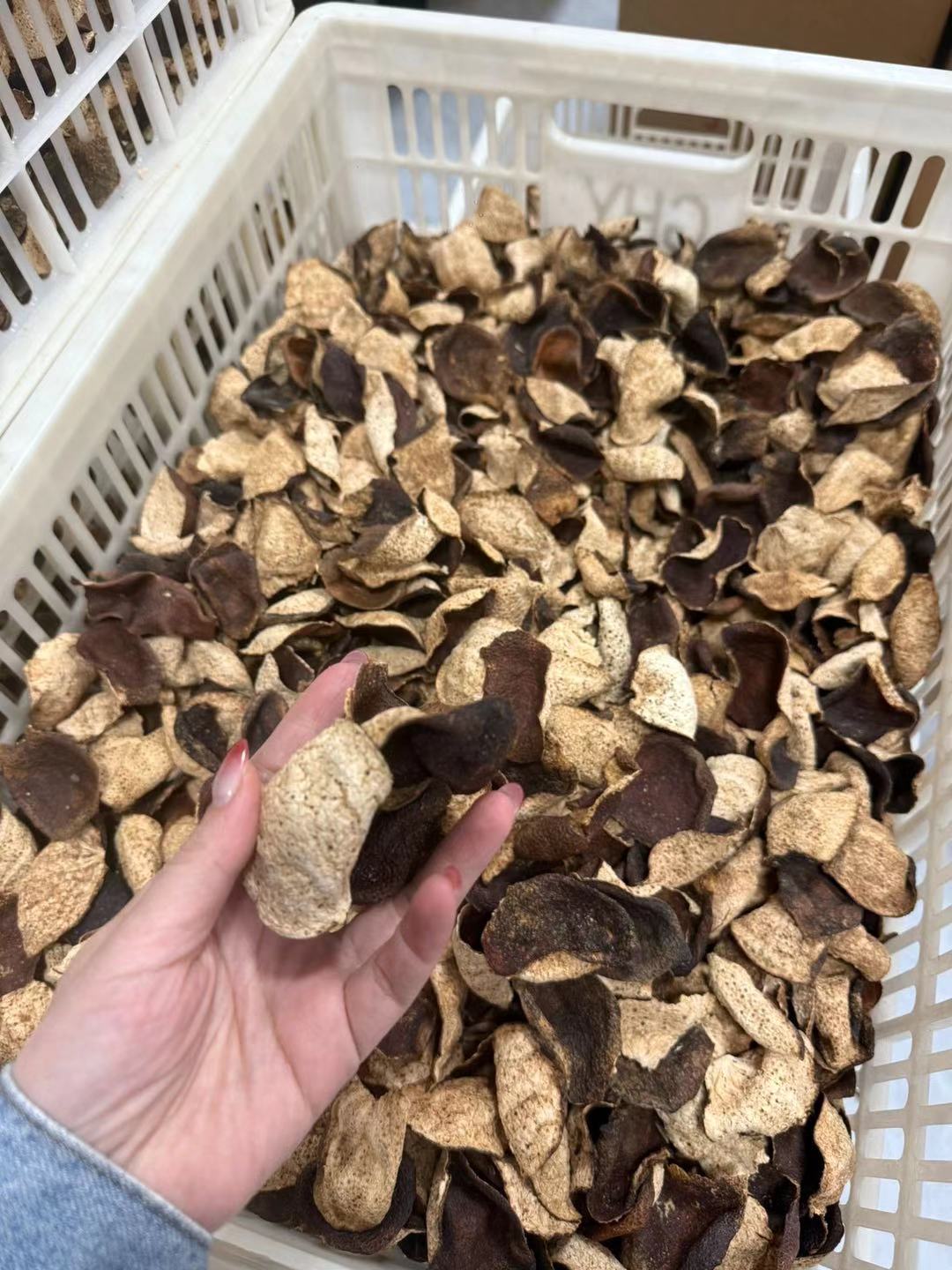 🔥🔥🔥 正宗新会生晒枨江断皮 一线产区,全天然 不是工艺皮! 自家食用性价比高/斤。 10斤起元。